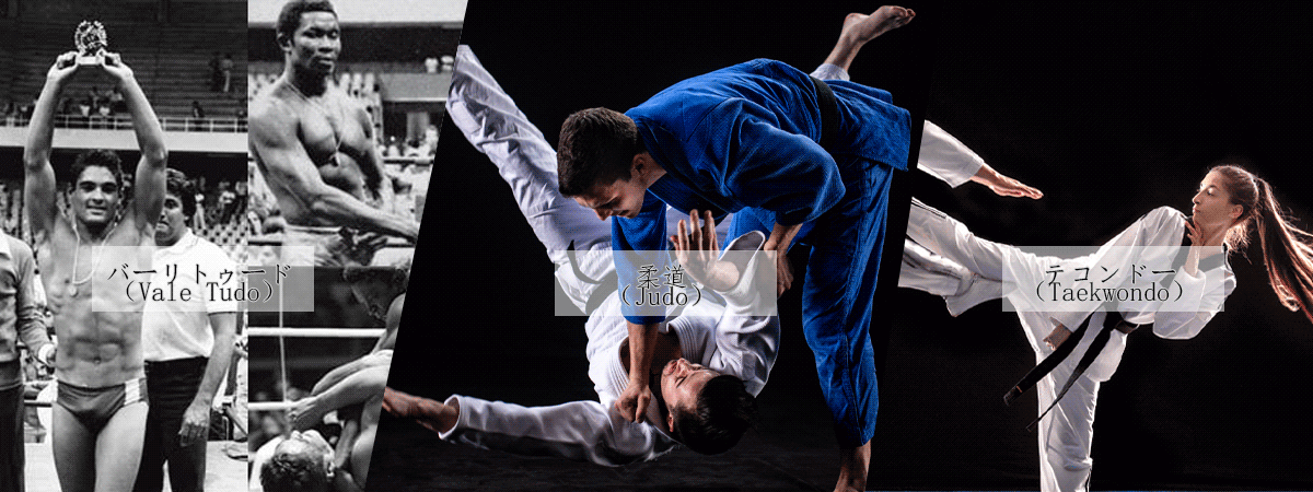 バーリトゥード（Vale Tudo）、柔道（Judo）とテコンドー（Taekwondo）