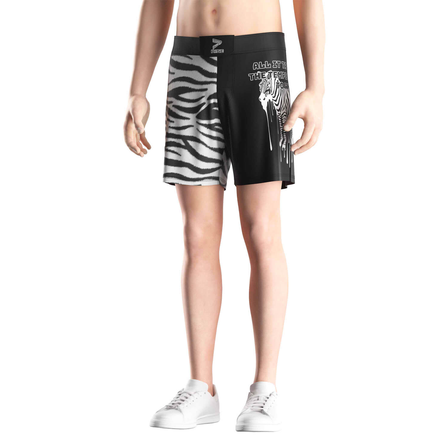 
                ZEBRA BEAST MARTIAL ARTS BJJ MMA TRANING FIGHT SHORTS
