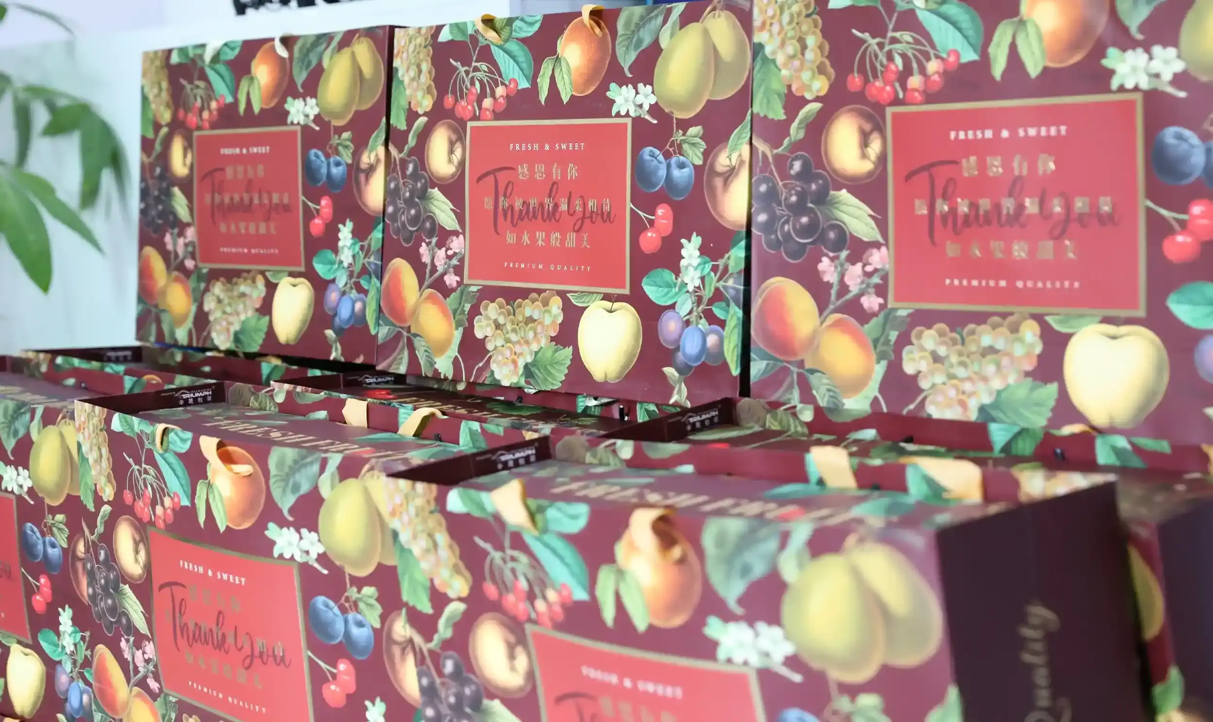 Mid-Autumn Festival employee fresh fruit gifts from Rise Sportswear